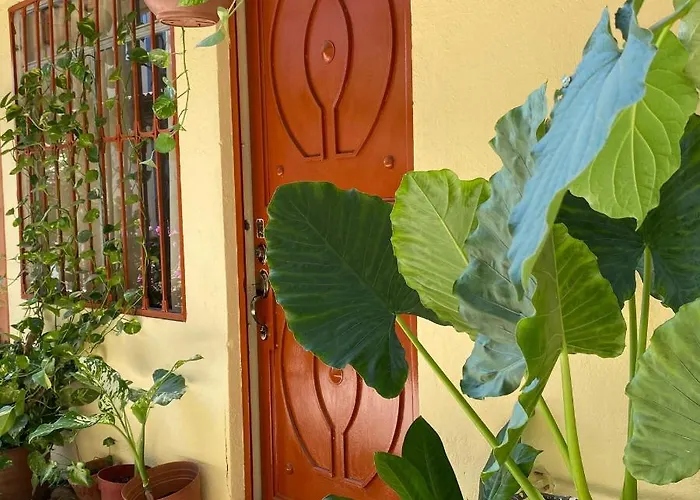 Casa Aloa Ixtapa