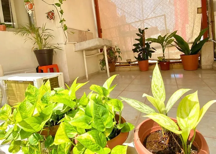Casa Aloa Ixtapa